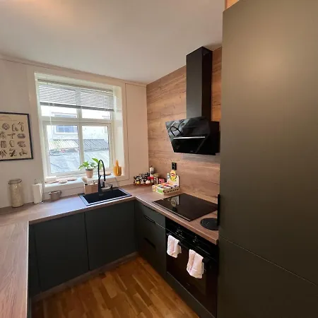 公寓 Cozy Gem In The Heart Of 卑爾根